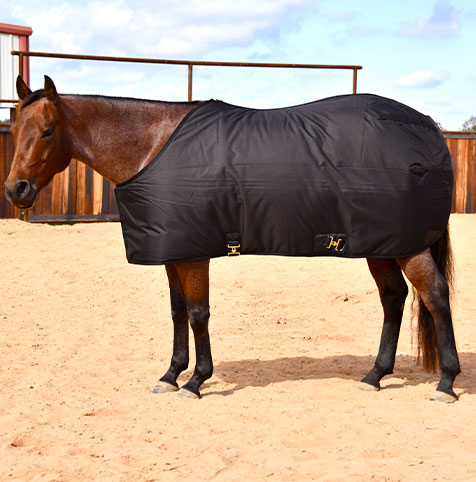 horse blankets and sheets