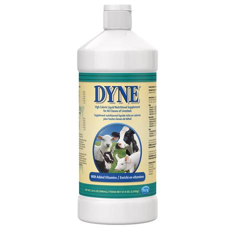 Dyne High CalorIe Liquid Supplement for Livestock 32oz