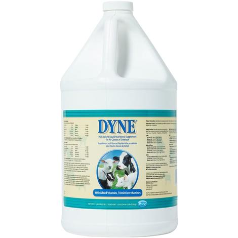 Dyne High Calorie Liquid Supplement for Horses & Ponies