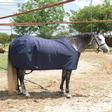 STT All-Around Waterproof Horse Blanket NAVY