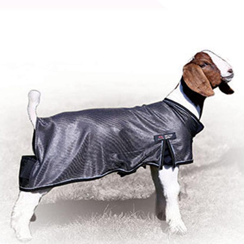  Cool Tech Goat Blanket