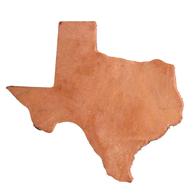 STT Texas Coaster