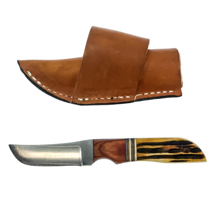  Anza Clip- Point With Cocobolo And Amber Bone Handle Knife