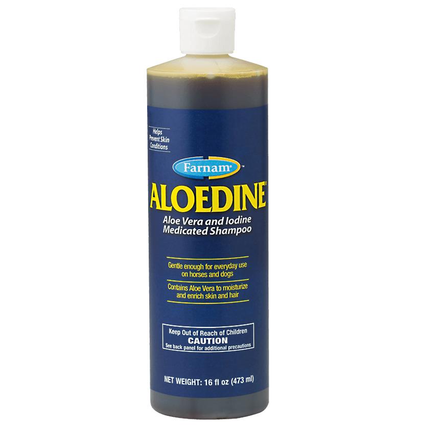  Aloedine Medicated Shampoo