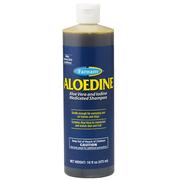 Aloedine Medicated Shampoo