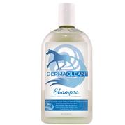 Derma Clean Shampoo Healthy Hair Care