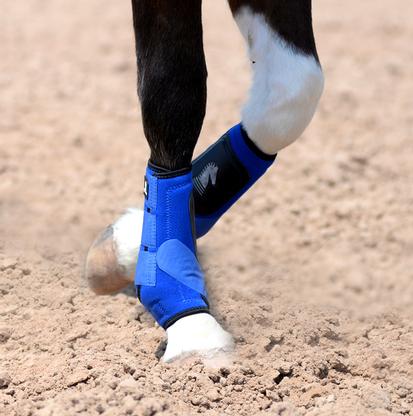 Horse Sport Boots | Purchase Bell Boots, Polo Wraps, Splint Boots ...